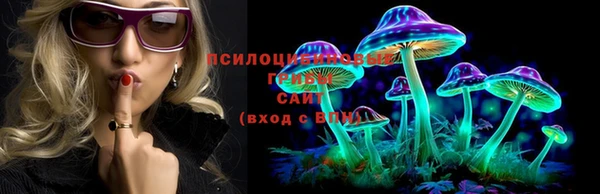 мдпв Кукмор