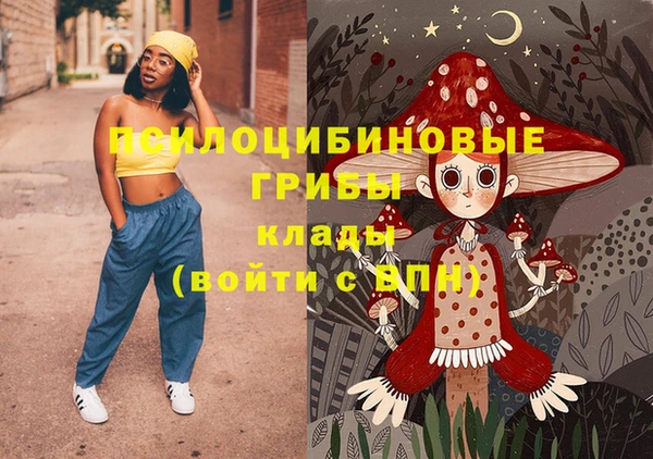 мдпв Кукмор