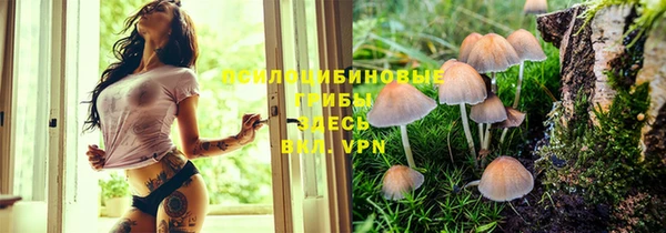 мдпв Кулебаки