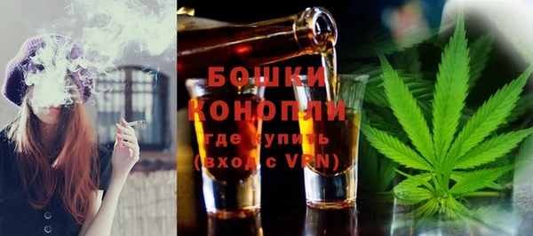 мдпв Кулебаки
