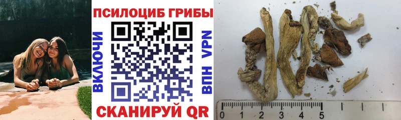 Купить  Арамиль  Галлюциногенные грибы MAGIC MUSHROOMS 